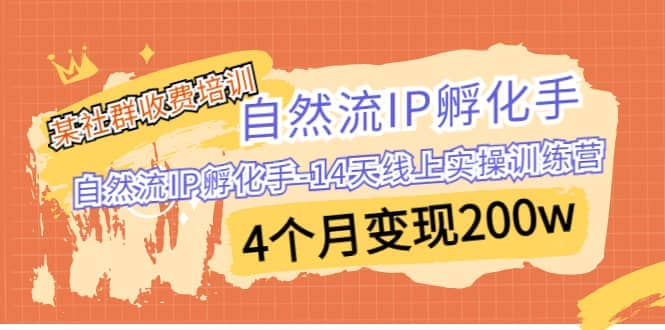 某社群收费培训：自然流IP 孵化手-14天线上实操训练营 4个月变现200w-轻创网