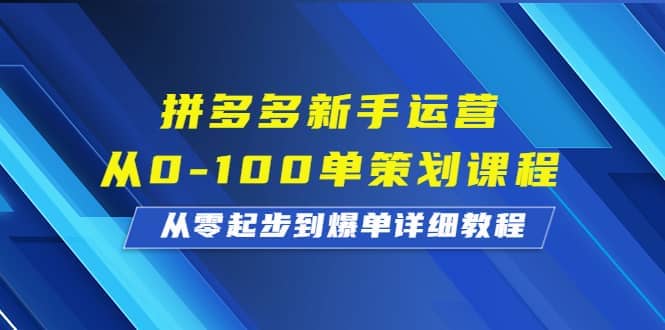 拼多多新手运营从0-100单策划课程，从零起步到爆单详细教程-轻创网