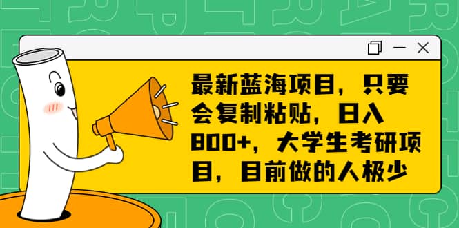 最新蓝海项目，只要会复制粘贴，日入800 ，大学生考研项目，目前做的人极少-轻创网