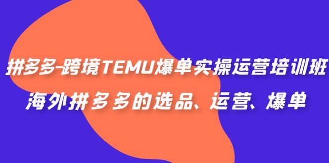 拼多多-跨境TEMU爆单实操运营培训班，海外拼多多的选品、运营、爆单-轻创网