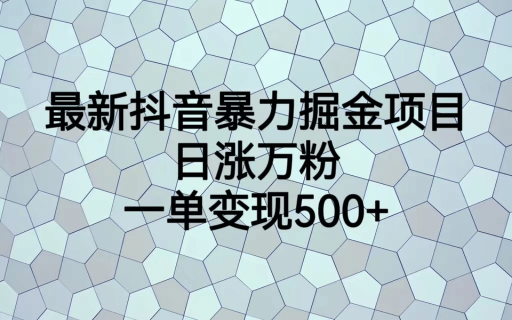 最火热的抖音暴力掘金项目，日涨万粉，多种变现方式，一单变现可达500-轻创网