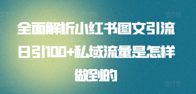 日引流100私域流量小红书图文是怎样做到的全面解析-轻创网