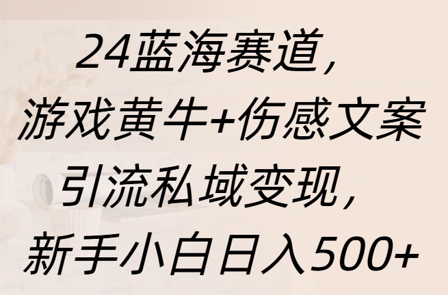 24蓝海赛道，游戏黄牛+伤感文案引流私域变现，新手日入500+-轻创网