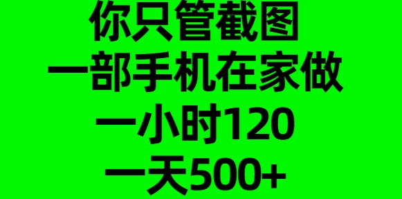 你只管截图，一部手机在家做，一小时120，一天500+-轻创网