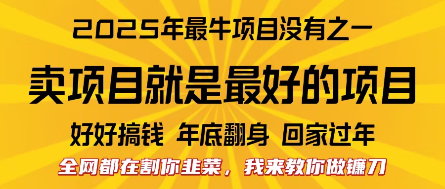 全网都在割你韭菜，我来教你做镰刀。卖项目就是最好的项目，2025年最牛互联网项目-轻创网