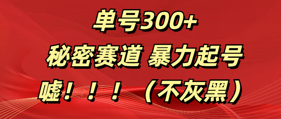 单号300+  秘密赛道 暴力起号  （不灰黑）-轻创网