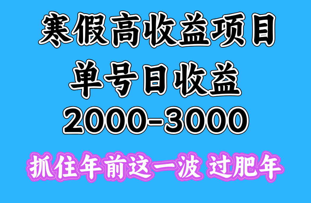 寒假期间一天收益2000-3000+，抓住年前这一波-轻创网