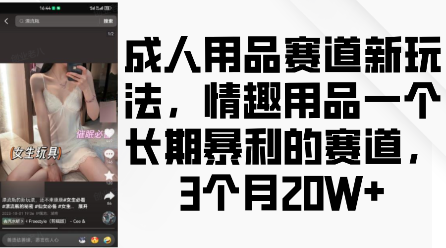 情趣用品一个长期暴利的赛道，成人用品赛道新玩法，3个月20W+-轻创网