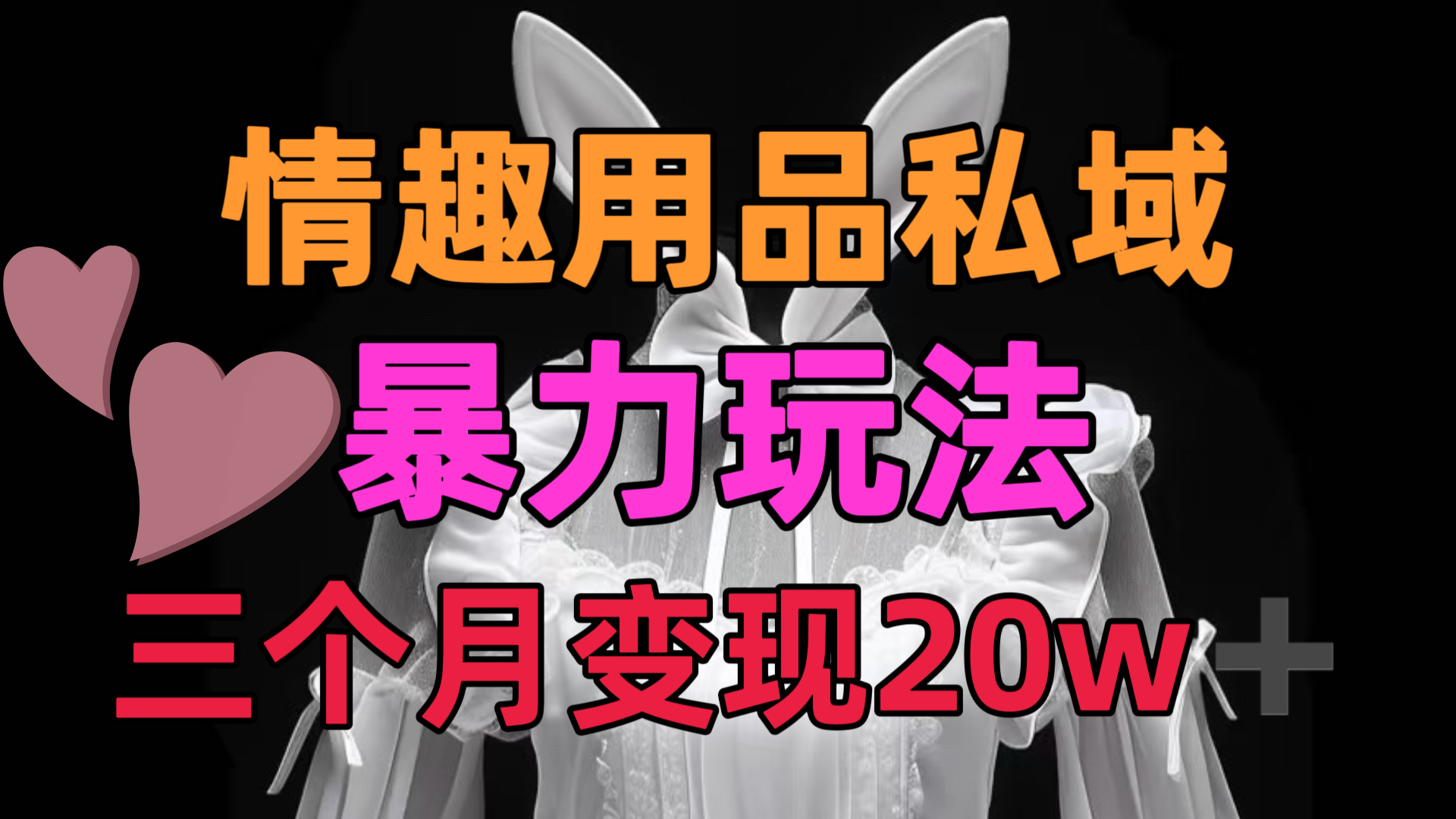 情趣用品私域，25年最新暴力玩法，三个月变现20w➕-轻创网