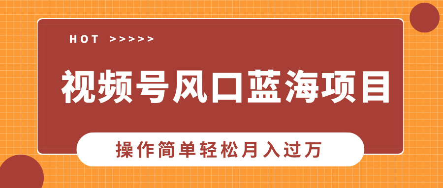 视频号风口蓝海项目，中老年人的流量密码，操作简单轻松月入过万-轻创网