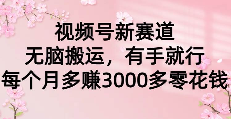 视频号新赛道，无脑搬运，有手就行，每个月多赚3000多零花钱-轻创网